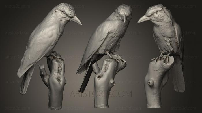 Bird figurines (STKB_0126) 3D model for CNC machine